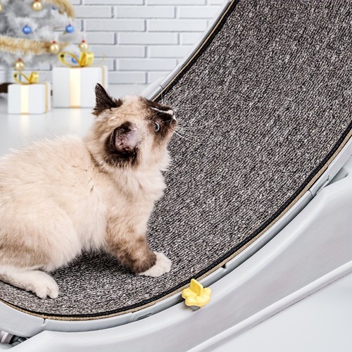 Tapis roulant per gatto - tapis,