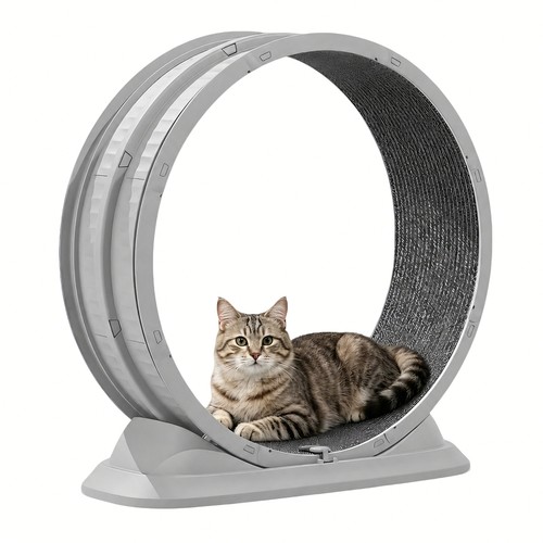 Bicicletta corsa per gatti - bicicletta,
