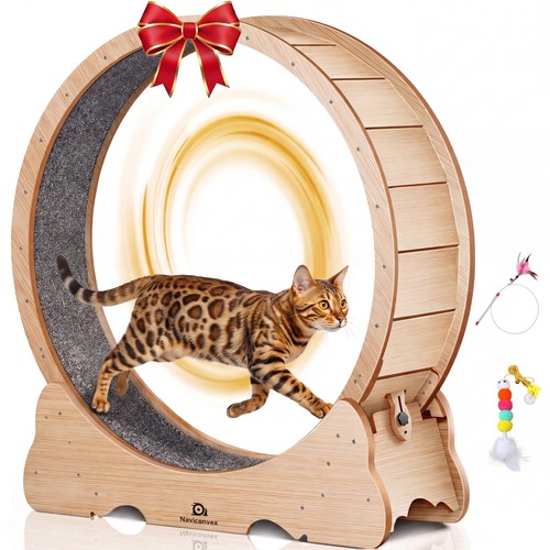 Ruota per gatti - ruota, colore