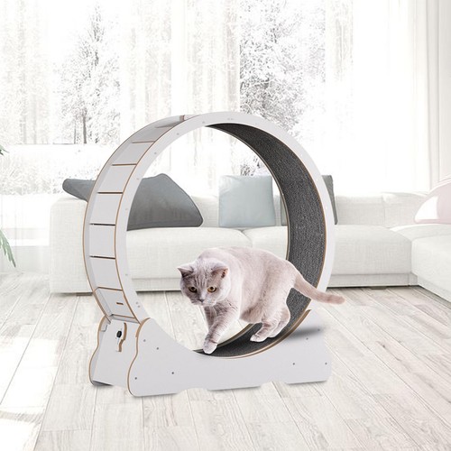 Tapis roulant giocattolo - tapis, da