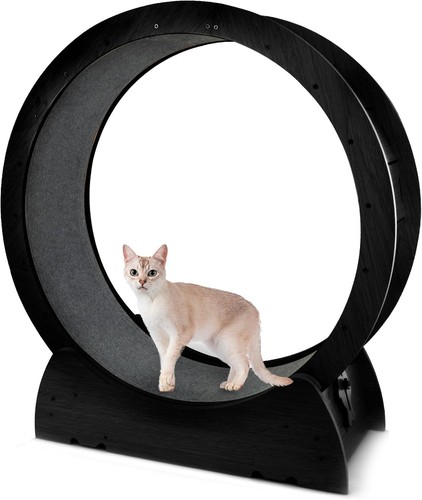 Lite delight ruota per - delight],