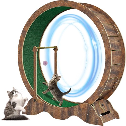 Ruota per gatti - per,
