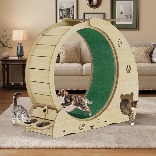 Ruota per gatti - ruota,