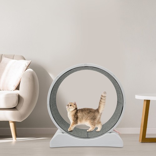Ruota per gatti - ruota, 80cm