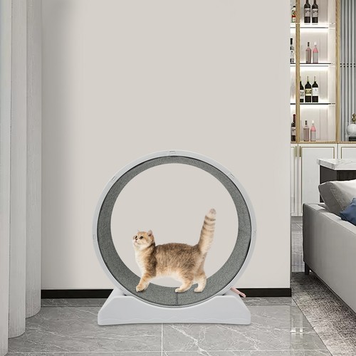 Ruota per gatti - , cm
