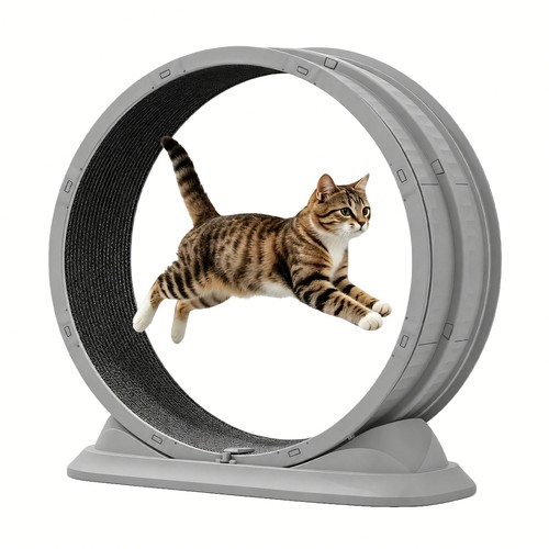 Bicicletta corsa per gatti - per,