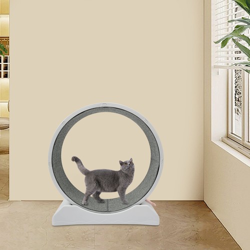 Ruota per gatti - gatti, tapis