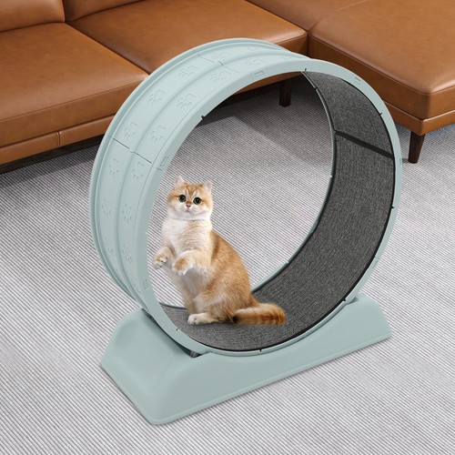 Ruota blu per - blu, forte