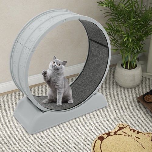 Ruota grigia per gatti - grigia,