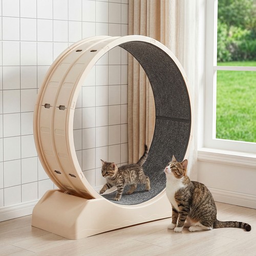 Ruota per gatti - , 110
