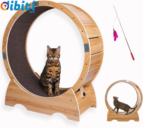 Ruota per gatti - ruota,