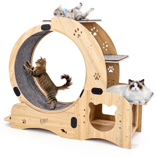 Ruota per gatti 1 bici - ruota,