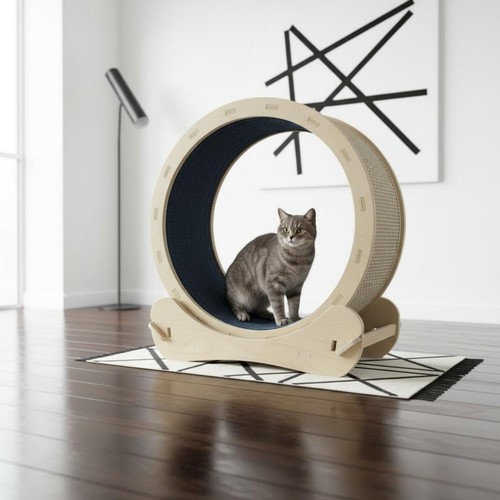 Ruota per gatti legno naturale - ruota,