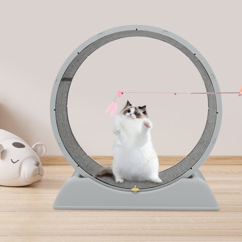 Ruota grigia per gatti - grigia,