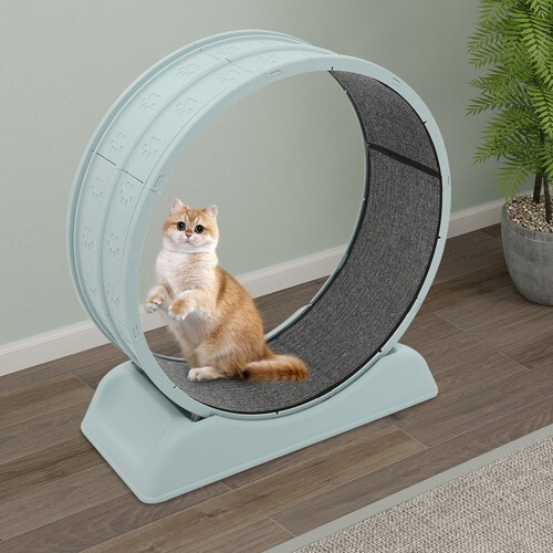 Ruota blu per gatti forte - blu,