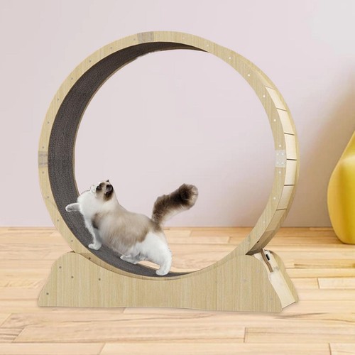 Cat tapis roulant - tapis,