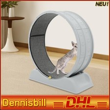 Ruota Grigia per Gatti Forte