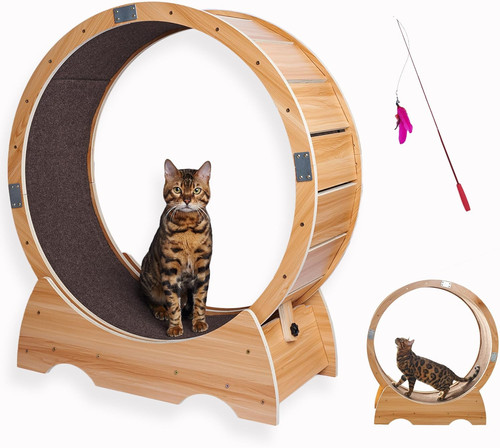 Ruota per gatti - per,