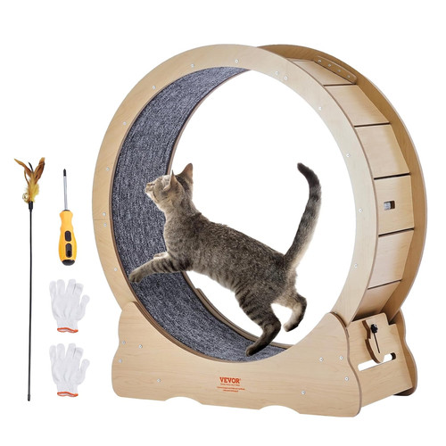 Ruota per esercizi gatti - esercizi,