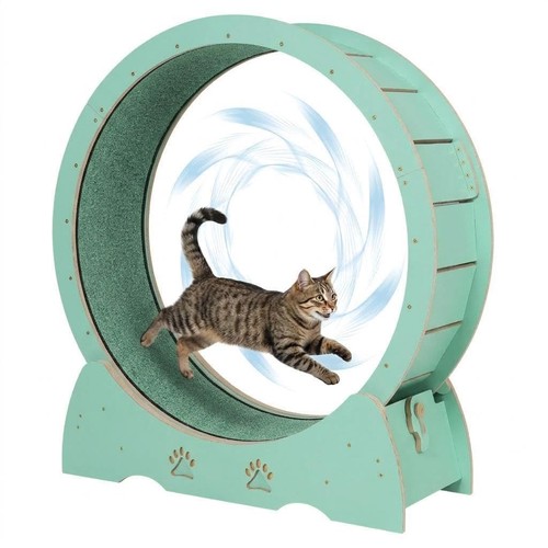 Bici corsa per gatti - da,