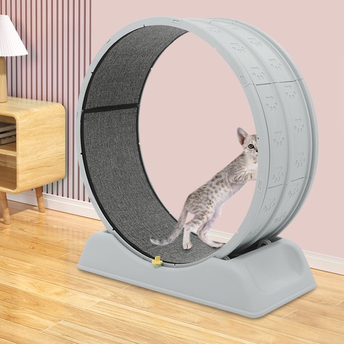 Ruota grigia per gatti forte - grigia,