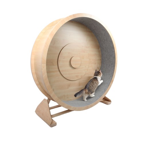 Ruota per gatti - elmato, rocky