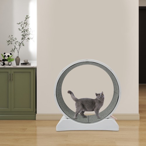 Ruota per gatti - ,