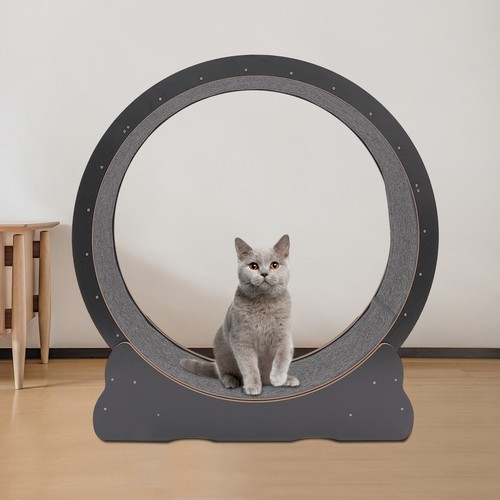 Ruota per gatti moderna - gatti,