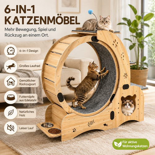 Bicicletta per gatti 1 - gatti,