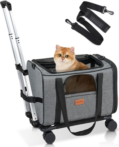 Trasportino per gatti con - gatti,