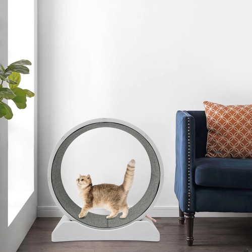 Ruota per gatti ruota per