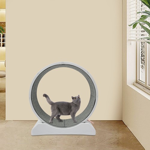 Ruota per gatti - 10, kg/22,05