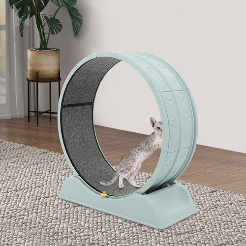 Ruota moderna per - per, forte