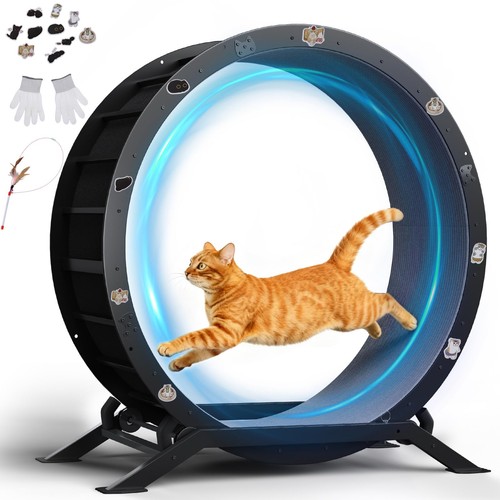 Gtplayer ruota per gatti - ruota,