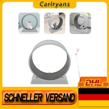 Ruota Grigia per Gatti Forte