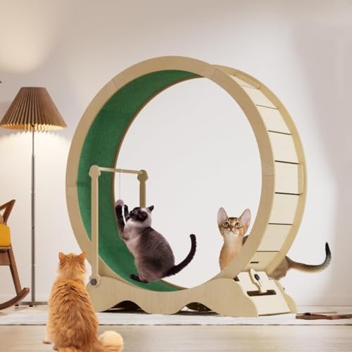 Ruota per gatti - , 110