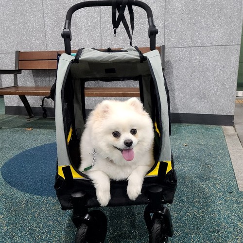 Passeggino per animali
