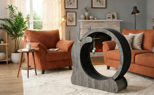 Ruota per gatti - gatti,
