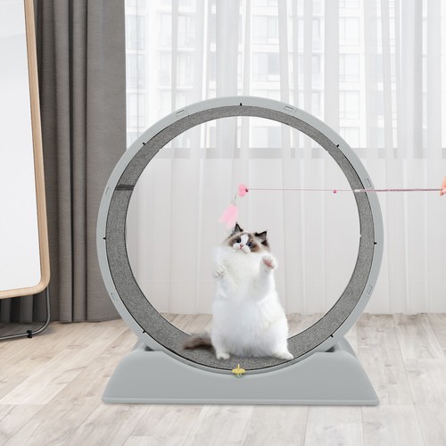 Ruota per gatti - ruota,