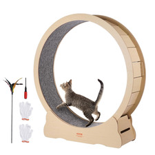 Cyclette per Gatto in Legno