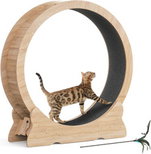 Ruota per Gatti, 110 Cm, XL