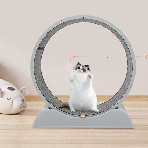 Ruota grigia per gatti forte - gatti,