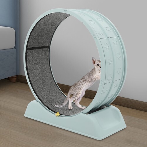 Ruota blu per gatti forte - ruota,